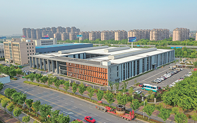 Company Profile